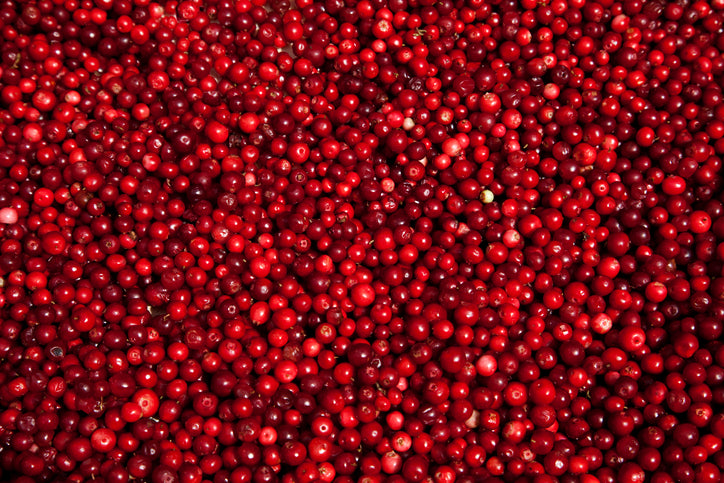 Cranberry: a fruta que vai ajudar a sua memória