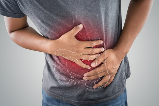 Intestino e Imunidade: Qual é a Relação?