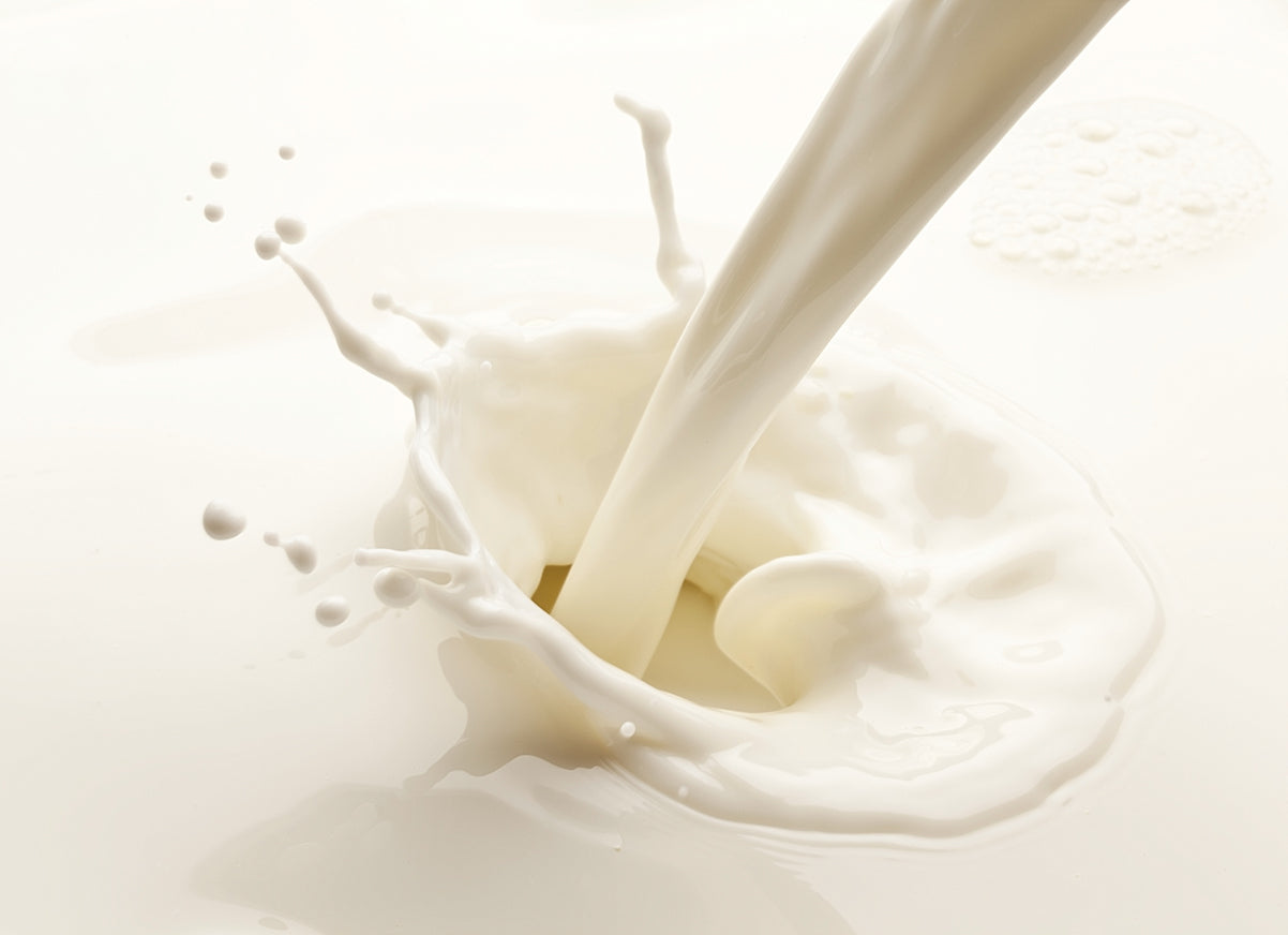 SEM LACTOSE